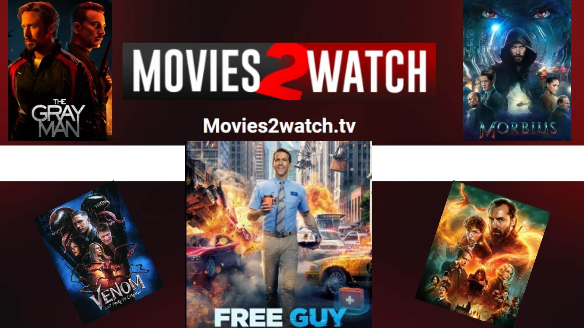 Movies2watch Review